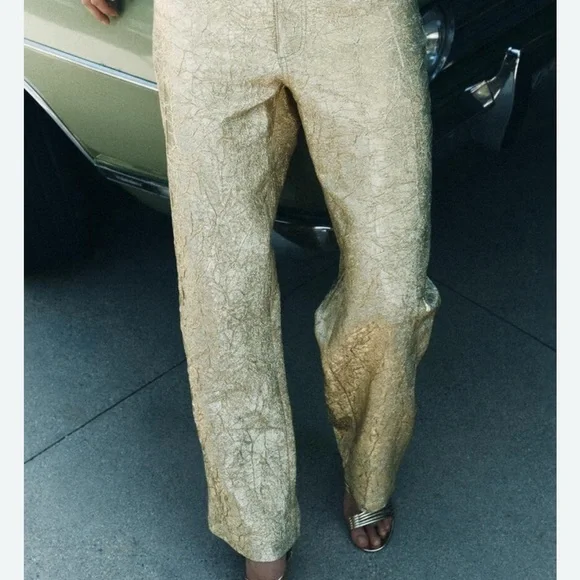 LAST CHANCE Zara Gold Textured Pants - Picture 7 of 12